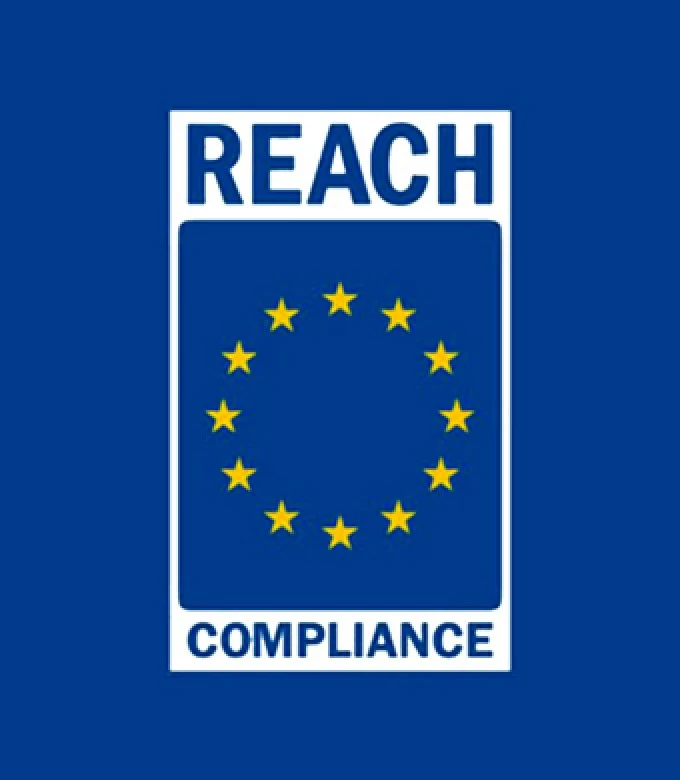 REACH NR. 01-2119560590-41-0053